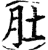 肚(印刷字体·宋·增韵)