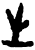 生(甲骨文·商·𠂤组)