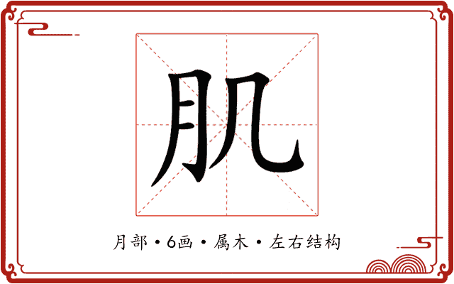 肌 肌