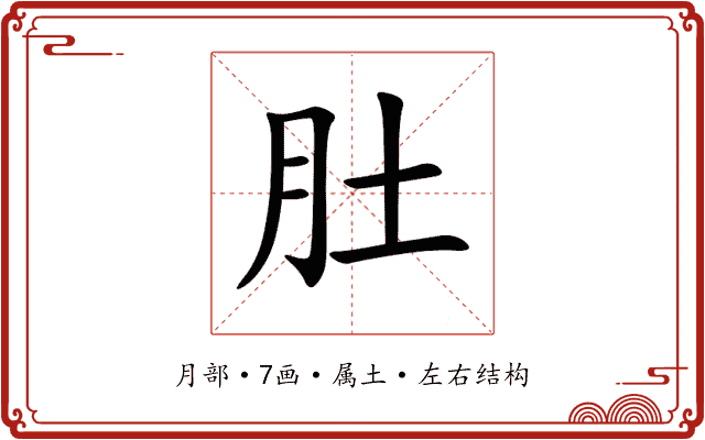 肚