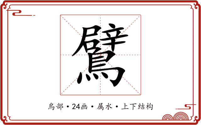 鷿 鷿
